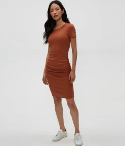 Petite Katie Dress